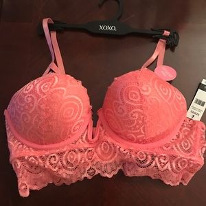 NWT 34B sexy push up bra